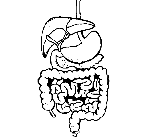 Dibujo de Intestinos para Colorear