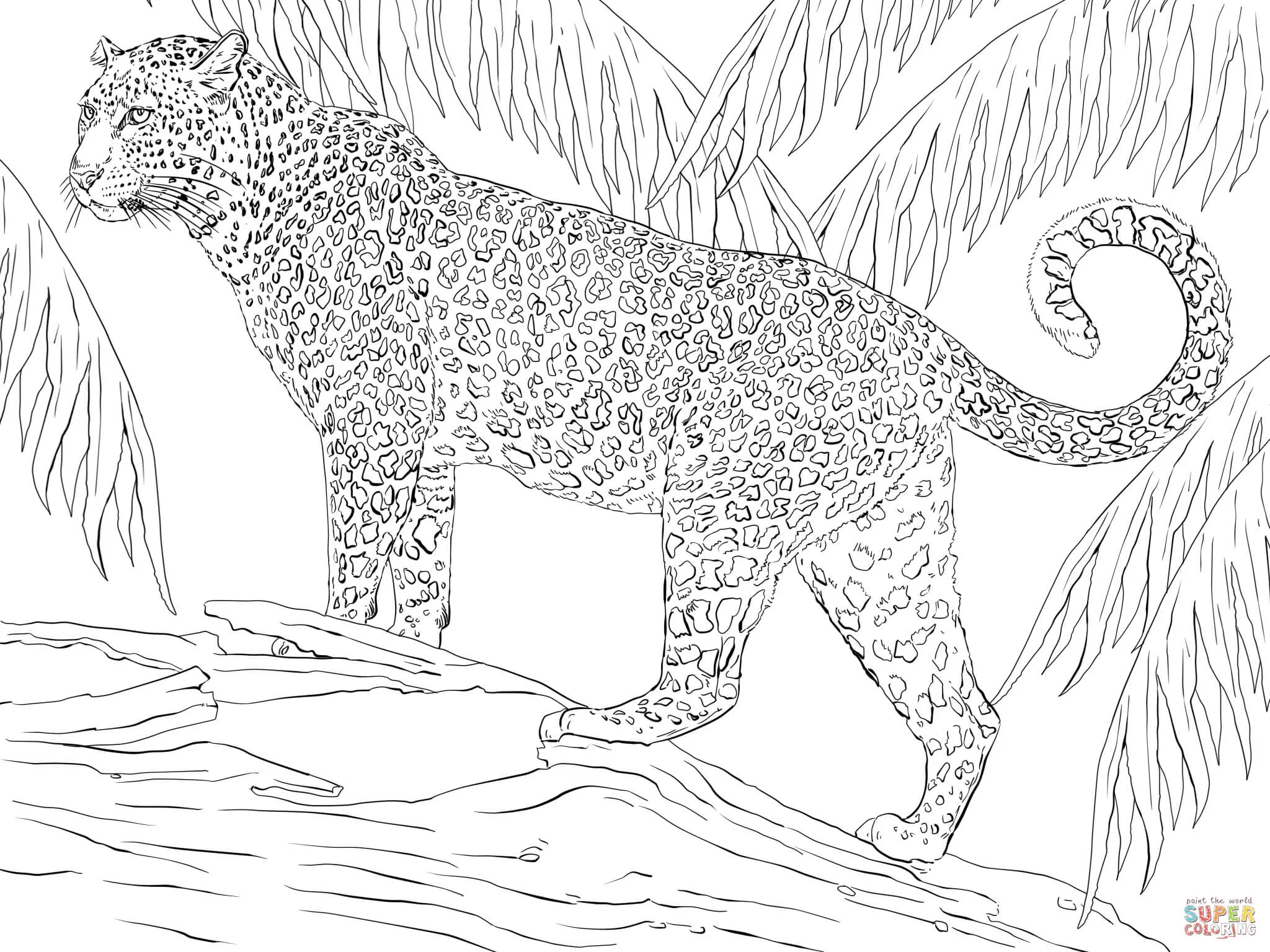 Dibujo de Jaguar para colorear | Dibujos para colorear imprimir gratis