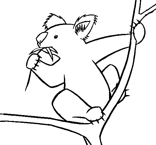 Dibujo de Koala para Colorear - Dibujos.net