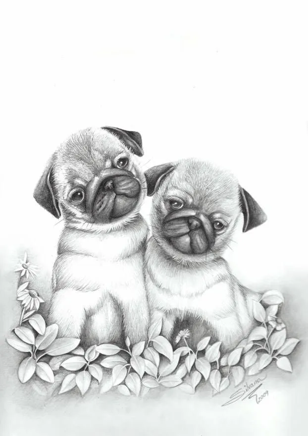 Dibujo a lapiz de animales tiernos - Imagui | Cachorros graciosos ...