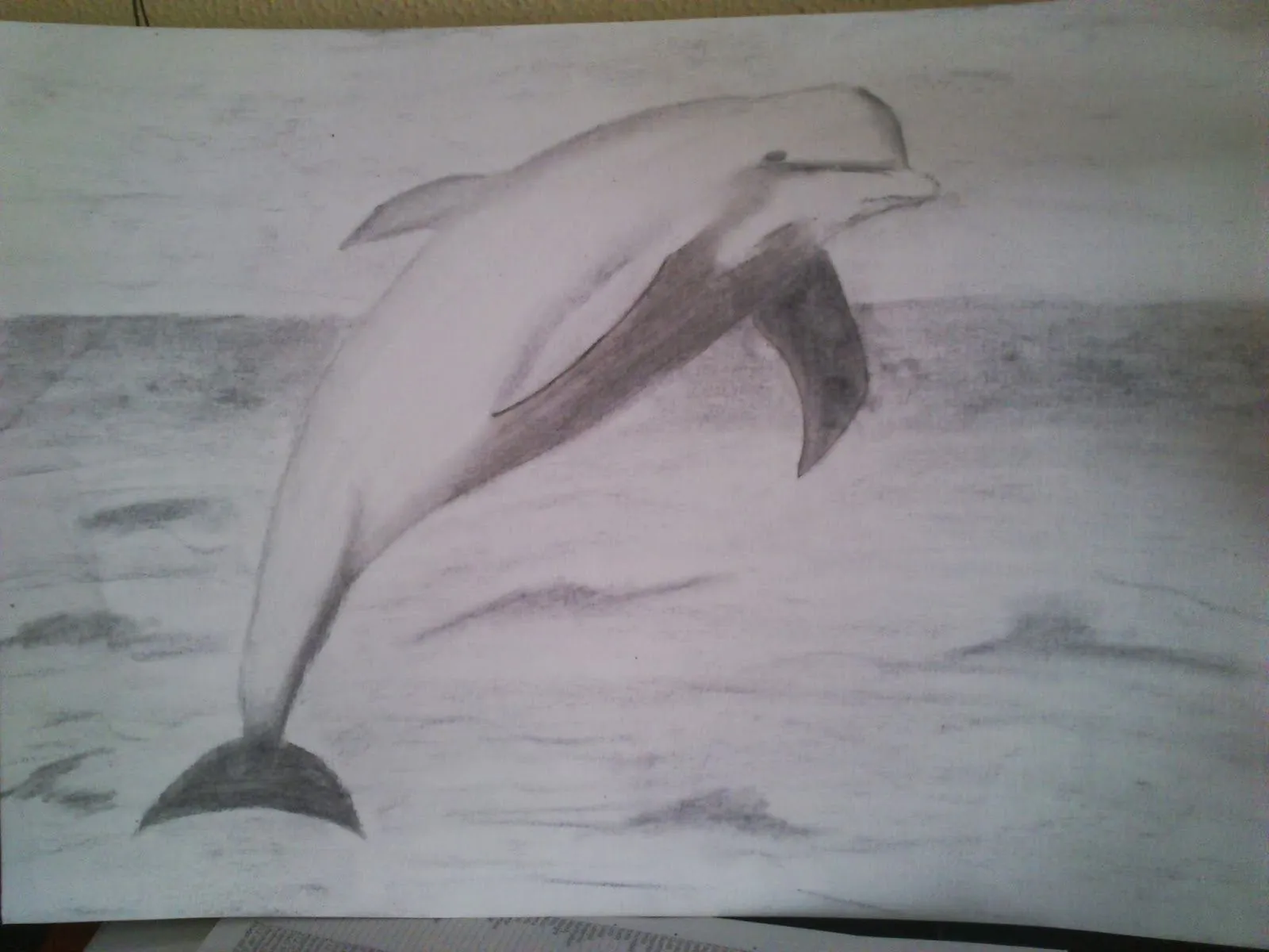 Dibujo a lapiz de delfines - Imagui