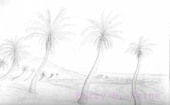 Dibujo a lápiz Hawaii palmeras por Artitorium en Etsy