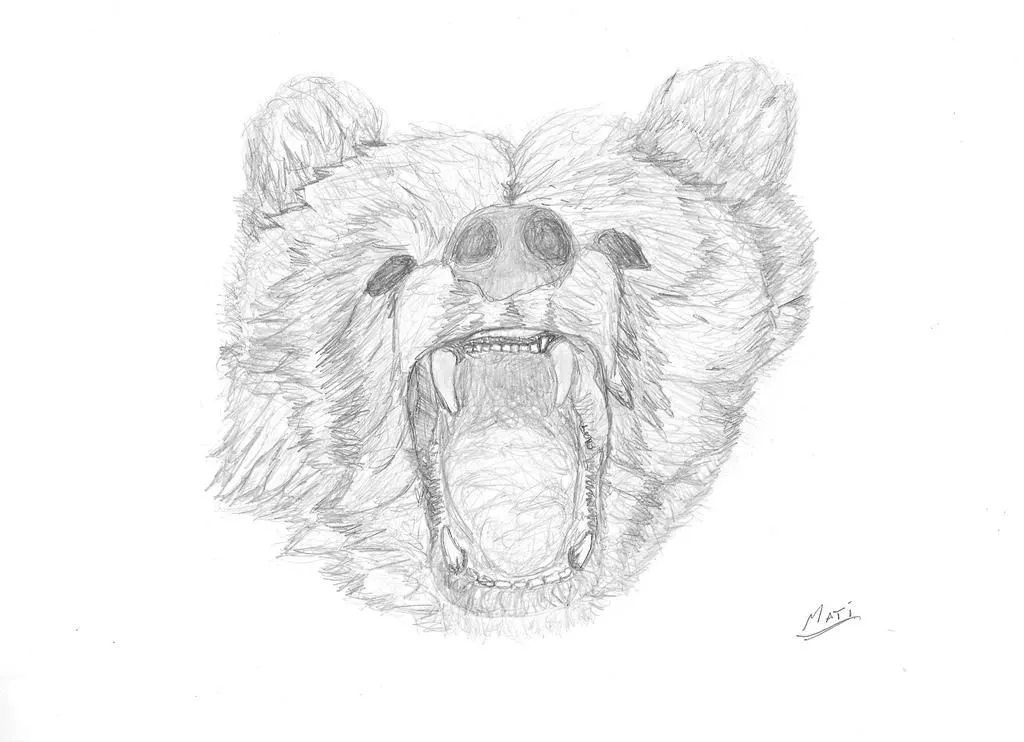 Dibujo A Lapiz Oso by matidefagot on DeviantArt