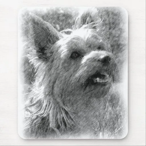 Dibujo de lápiz de Yorkshire Terrier Mousepad Alfombrillas De ...