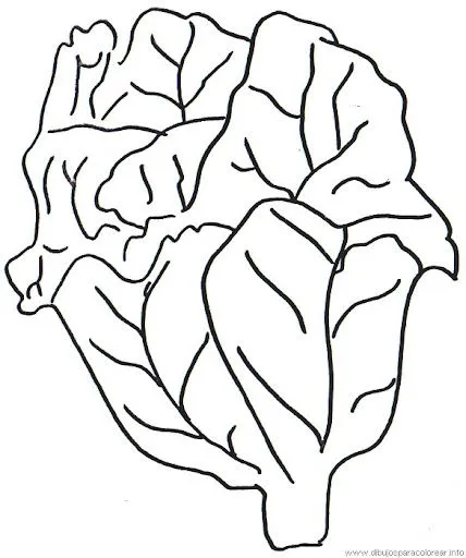 Dibujo de lechuga