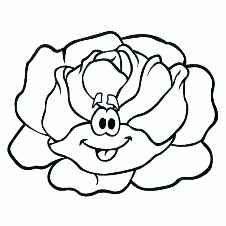 Dibujo de Lechuga para colorear. Dibujos infantiles de Lechuga ...