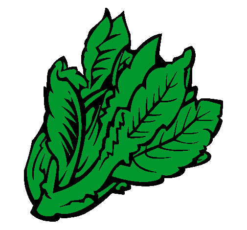 Dibujo de Lechuga II pintado por Cataline en Dibujos.net el día 16 ...