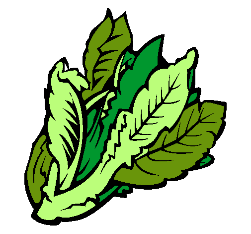 Dibujo de Lechuga II pintado por Nesile en Dibujos.net el día 24 ...