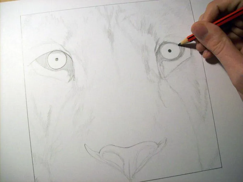 Dibujo de león terminado / Drawing of lion finished - Paperblog