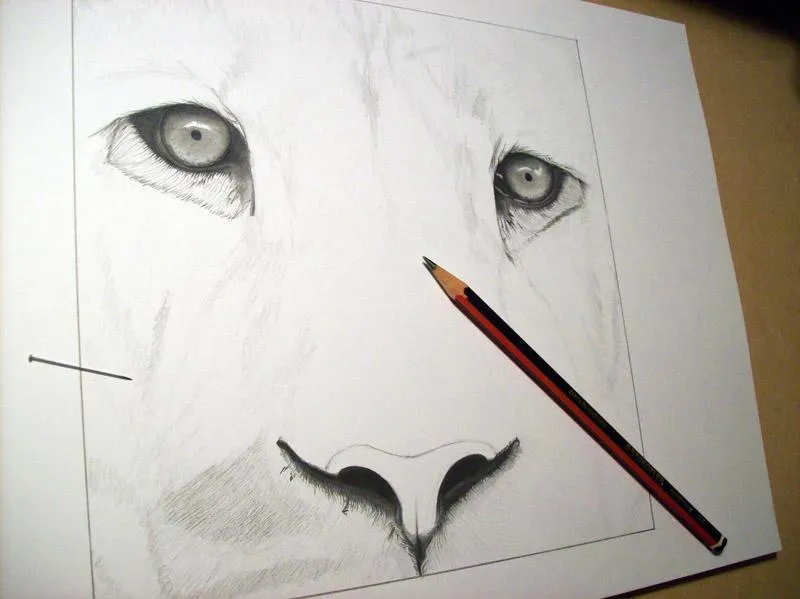 Dibujo de león terminado / Drawing of lion finished - Paperblog