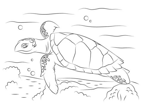 Linda Tortuga Carey dibujo para colorear | SuperColoring.com