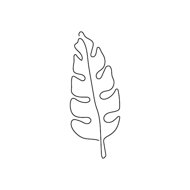 Dibujo de línea continua de hoja de palma arte de una línea de hojas  plantas hojas de hierba botánico de la selva | Vector Premium