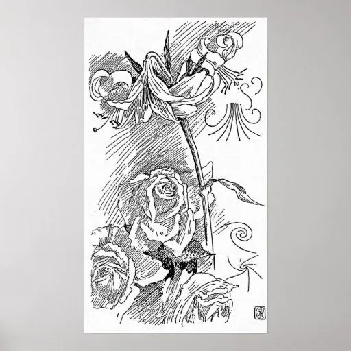 Dibujo lineal color de rosa y del lirio poster de Zazzle.