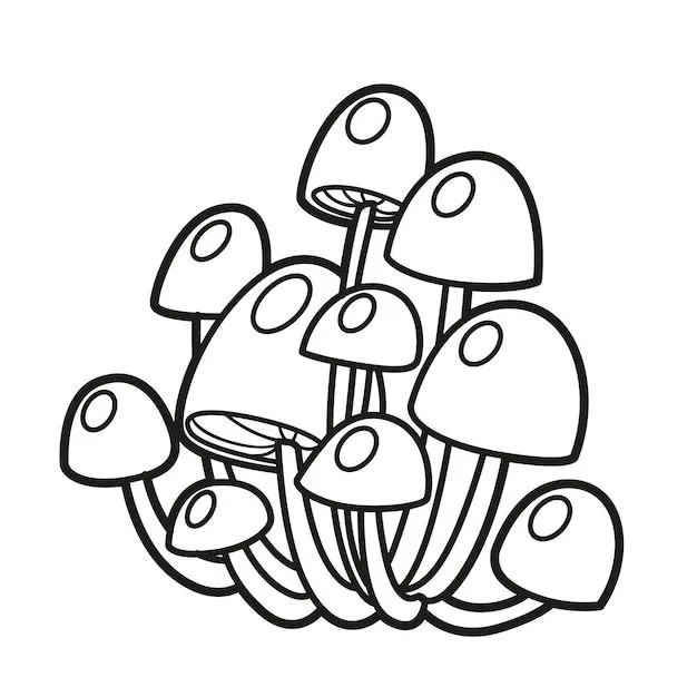 Dibujo lineal de hongos toadstool venenosos para colorear aislado sobre  fondo blanco | Vector Premium