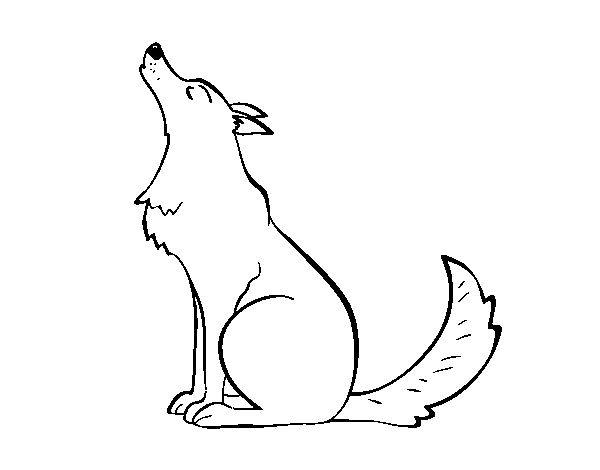 Dibujo de Lobo aullando para Colorear - Dibujos.net