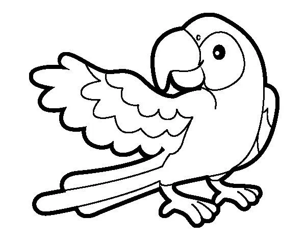 Dibujo de Loro con ala abierta para Colorear - Dibujos.net