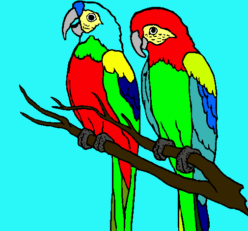 Dibujo de Loros pintado por Guacamallas en Dibujos.net el día 13 ...