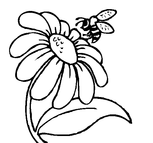 Dibujo de Margarita con abeja para Colorear - Dibujos.net