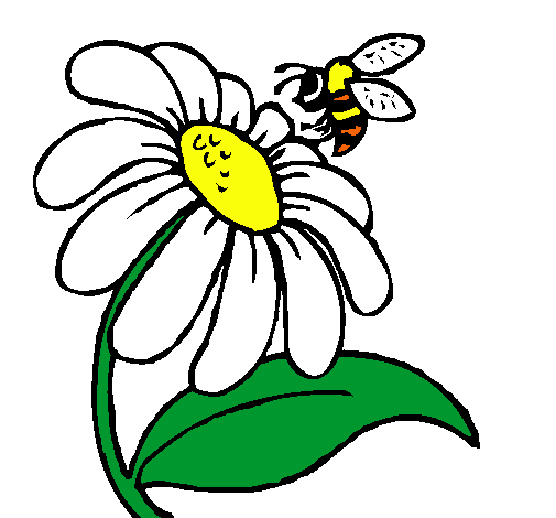 Dibujo de Margarita con abeja pintado por Erica en Dibujos.net el ...