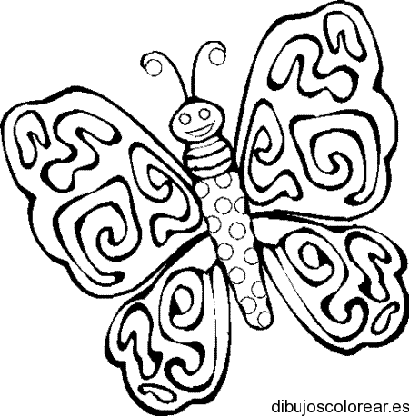 Dibujo de mariposa con las alas abiertas | Dibujos para Colorear