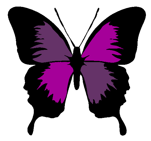 Dibujo de Mariposa con alas negras pintado por Mariposita en ...