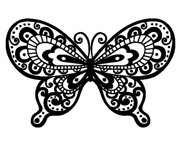 Dibujo de Mariposa bonita para Colorear - Dibujos.net