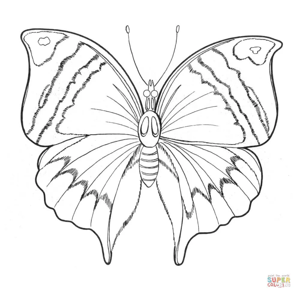 Dibujo de Gran Mariposa para colorear | Dibujos para colorear ...