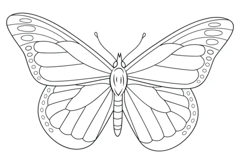 Dibujo de Mariposa Monarca para colorear | Dibujos para colorear ...