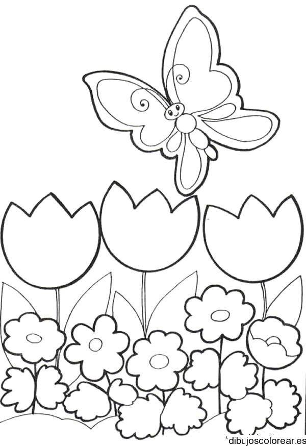 Dibujo de mariposa con tulipanes | Dibujos para Colorear