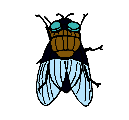 Dibujo de Mosca negra pintado por Leoharry202 en Dibujos.net el ...