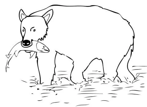 Dibujo de El Oso Pardo Cazó un Salmón para colorear | Dibujos para ...