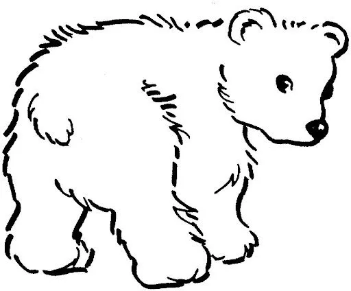 DIBUJO DE OSO POLAR