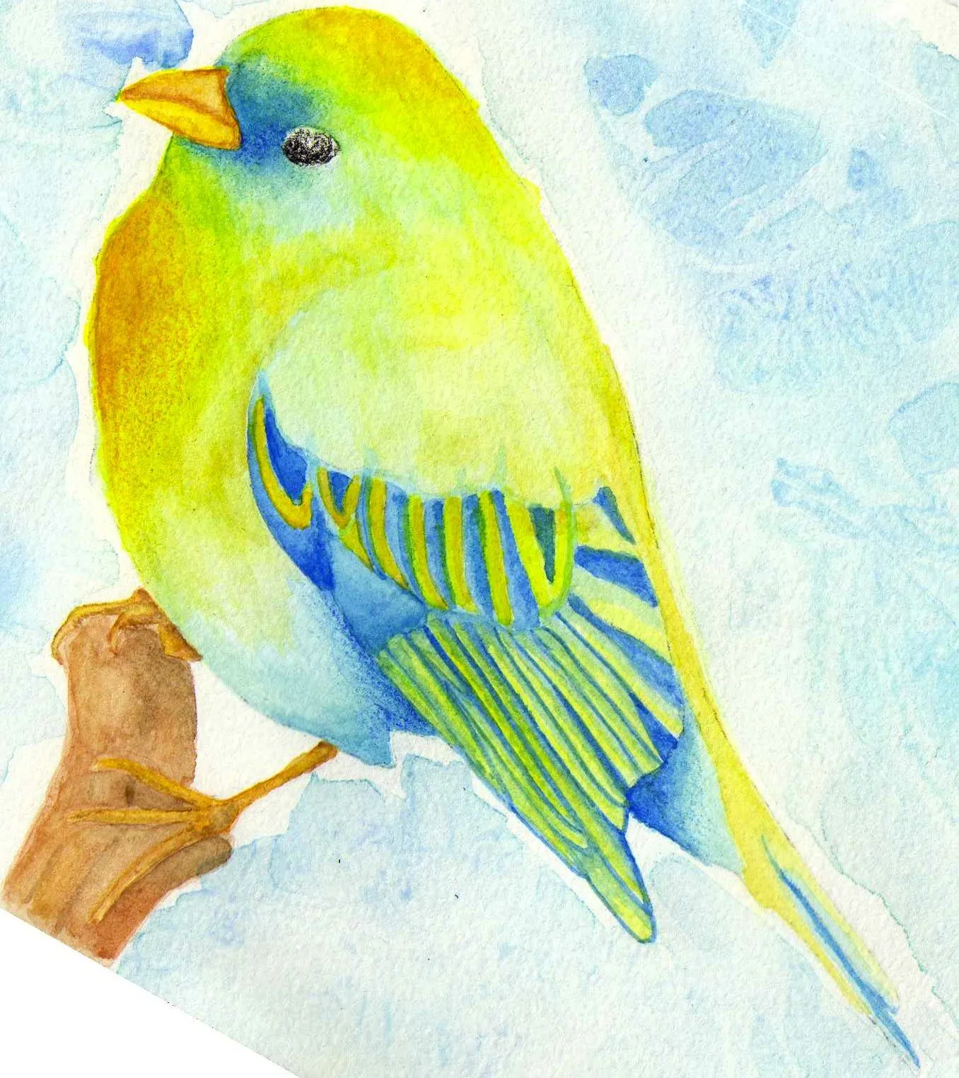 Dibujo: Pajaro con acuarelas