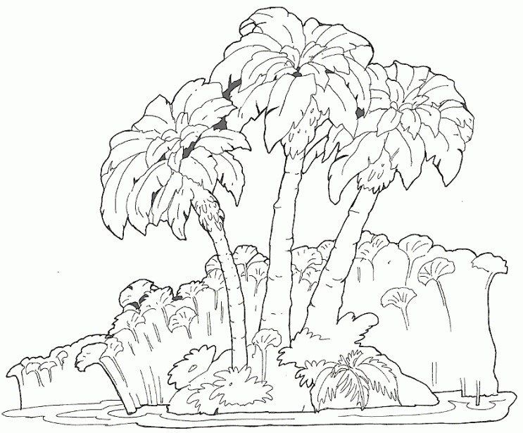 Dibujo de palmeras tropicales - Dibujos para colorear