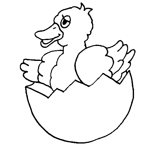 Dibujo de Patito en el cáscaron para Colorear - Dibujos.net