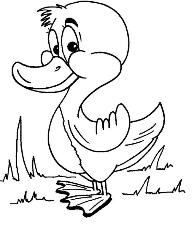 Dibujo De Patito Para Colorear Dibujos Infantiles Pictures