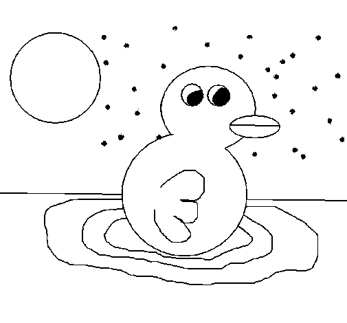 Dibujo de Pato 2 para Colorear - Dibujos.net
