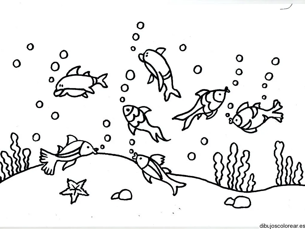 Dibujo de peces en el fondo del mar | Dibujos para Colorear