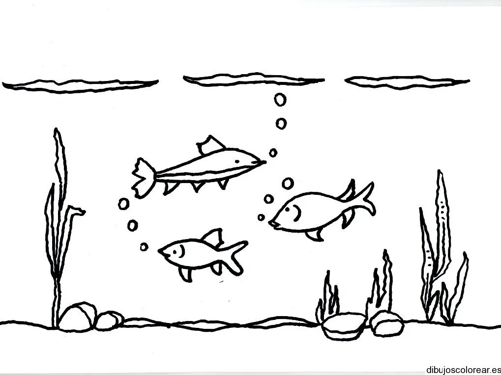 Dibujo de tres peces en una pecera | Dibujos para Colorear