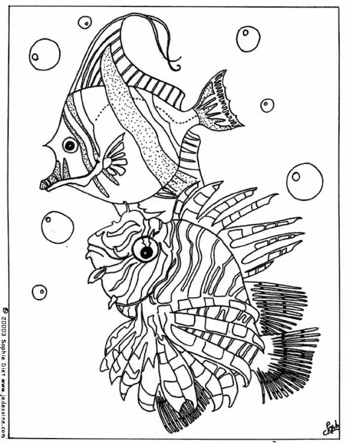 Dibujo PECES TROPICALES - Dibujos para pintar PECES TROPICALES