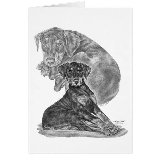 Dibujo del perrito del Pinscher del Doberman por e Tarjeta de Zazzle.