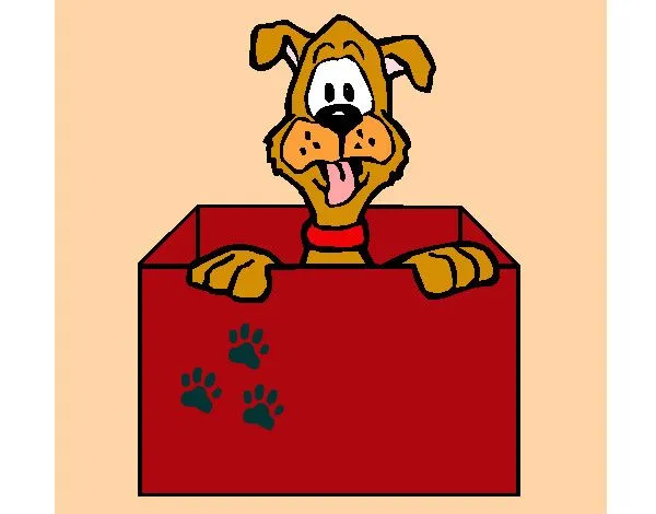 Dibujo de Perro dentro de caja pintado por Dany17 en Dibujos.net ...