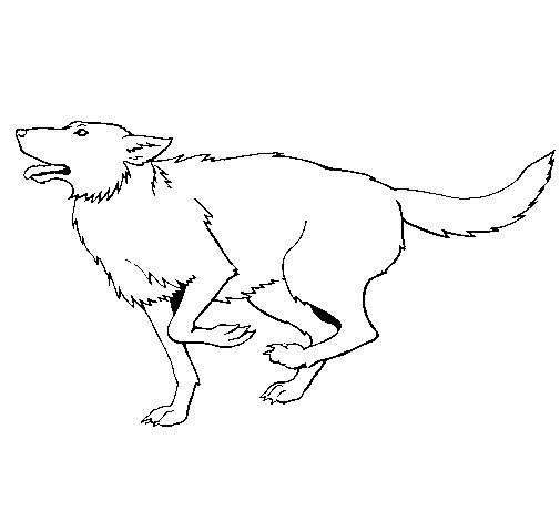 Dibujo de Perro corriendo para Colorear - Dibujos.net