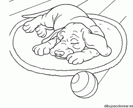 Dibujo de un perro durmiendo | Dibujos para Colorear