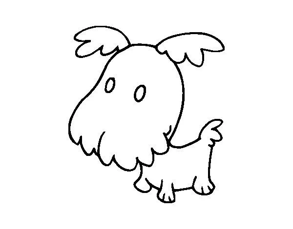 Dibujo de Perro grifón cachorro para Colorear - Dibujos.net