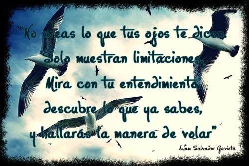 Dibujo para pintar de Juan salvador gaviota - Imagui