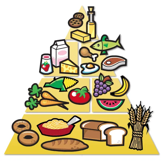 Dibujo de la piramide alimenticia - Imagui