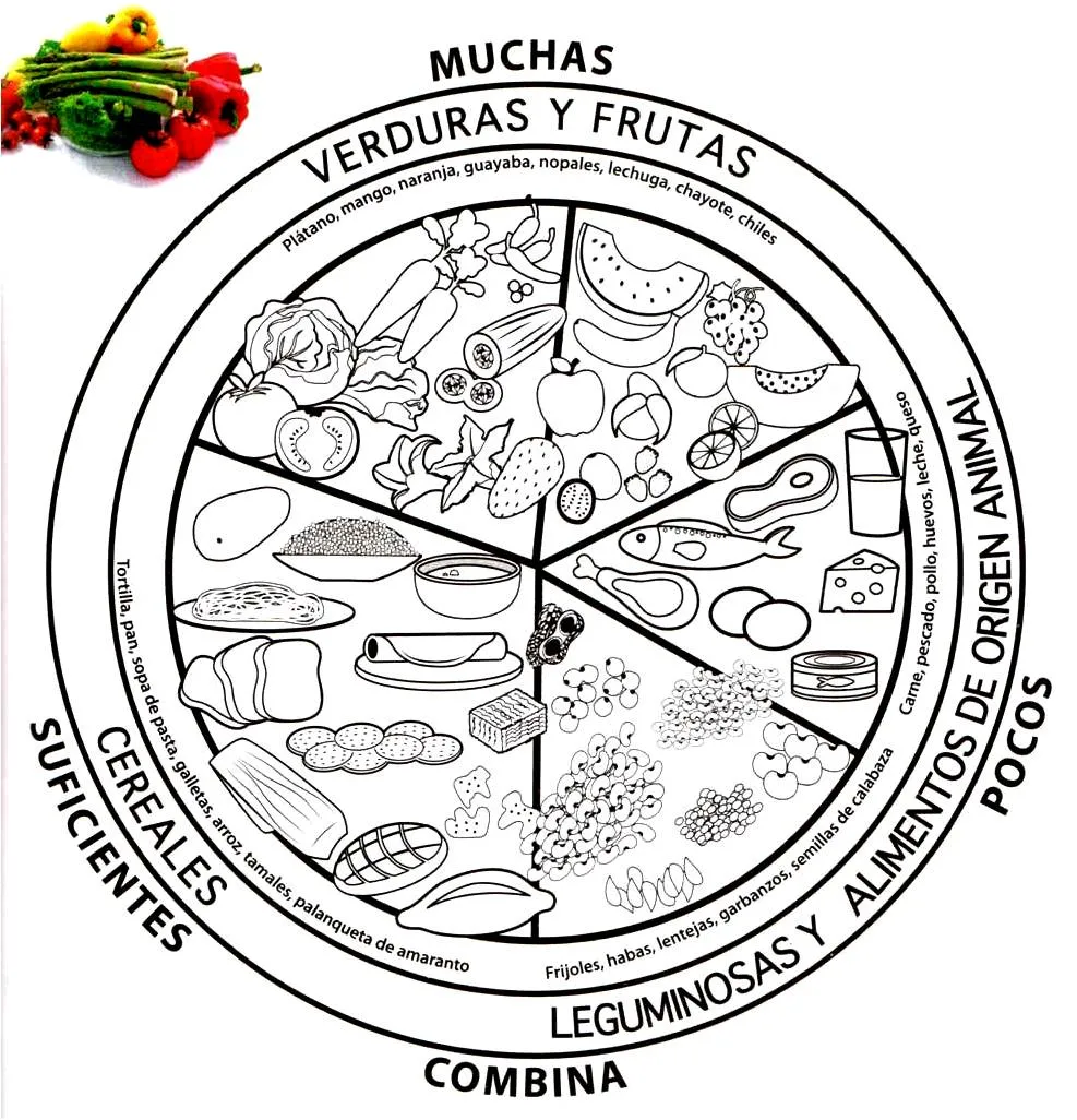 Dibujo del plato de buen comer para colorear - Imagui