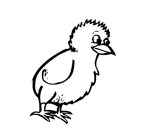 Dibujo de Pollito para Colorear