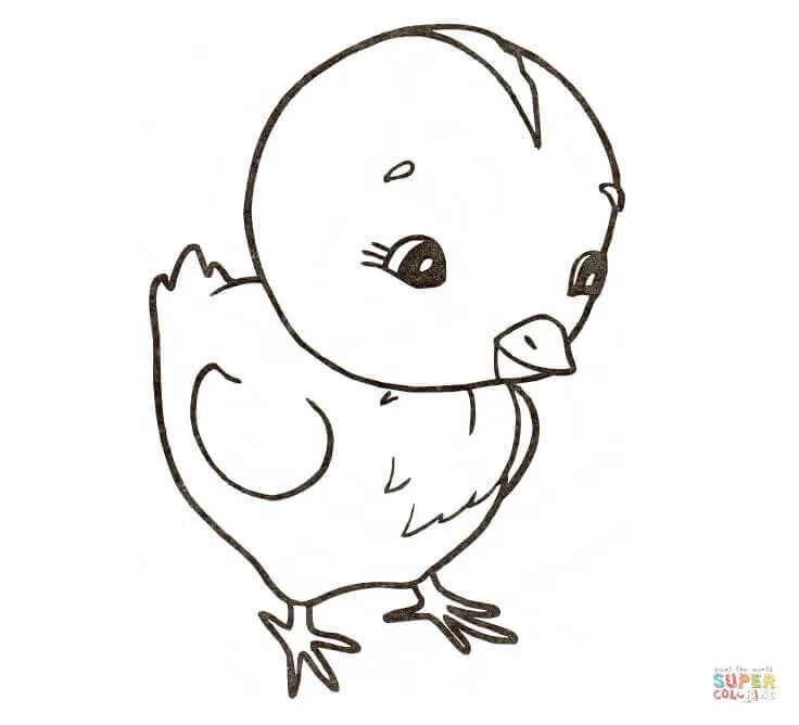 Dibujo de Pollito para colorear | Dibujos para colorear imprimir ...